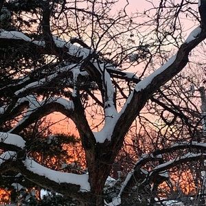 Meet your Posher, Mae